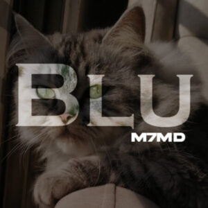 Profile photo of Mohammed Nada